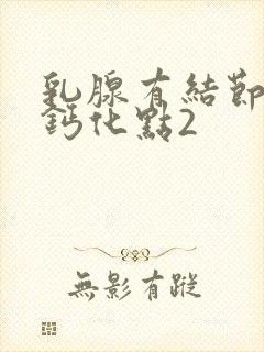 乳腺有结节内有钙化点2