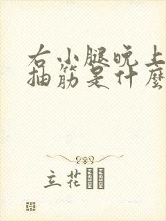 右小腿晚上睡觉抽筋是什么原因封面