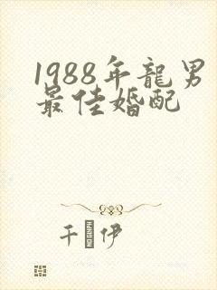 1988年龙男最佳婚配