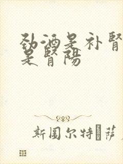 劲酒是补肾阴还是肾阳