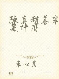 陈真赵善宁结局是什么封面