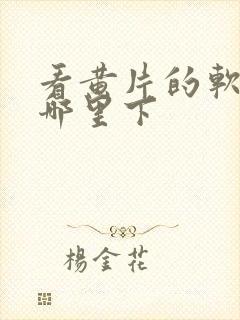 看黄片的软件在哪里下封面