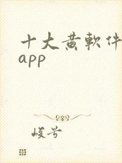 十大黄软件下载app