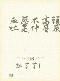 血压不高头晕想吐是什么原因封面