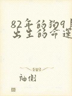 82年的狗9月出生的命运
