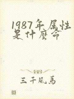 1987年属性是什么命
