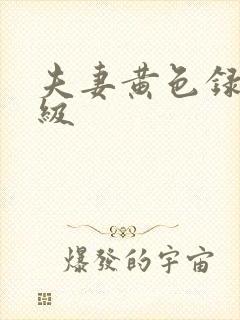 夫妻黄色录像一级封面