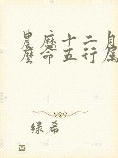 农历十二月是什么命五行属什么