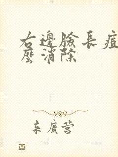 右边脸长痘痘怎么消除