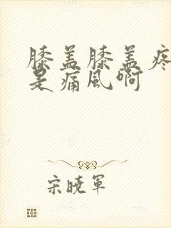 膝盖膝盖疼是不是痛风啊封面