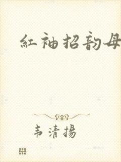 红袖招韵母攻略
