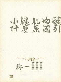 小腿肌肉酸胀痛什么原因引起的