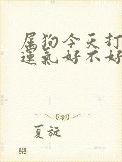 属狗今天打麻将运气好不好呀