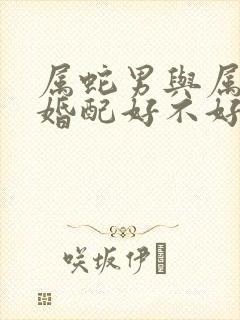 属蛇男与属龙女婚配好不好封面