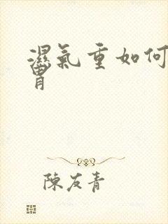 湿气重如何调脾胃