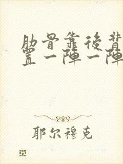 肋骨靠后背的位置一阵一阵疼怎么回事封面