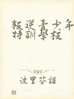 叛逆青少年封闭特训学校