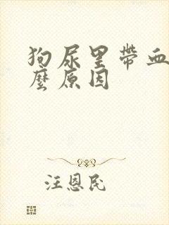 狗尿里带血是什么原因封面