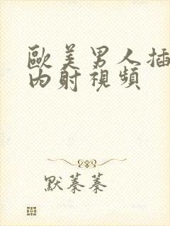 欧美男人插女人内射视频