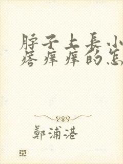 脖子上长小肉疙瘩痒痒的怎么回事