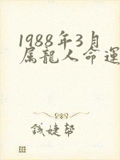 1988年3月属龙人命运
