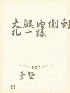 大腿内侧刺痛针扎一样