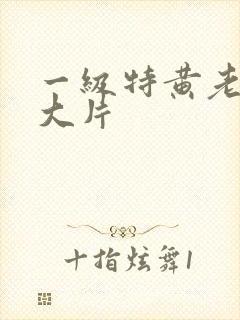 一级特黄老太婆大片