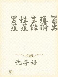 男性生殖器上有痘痘能挤出白色东西