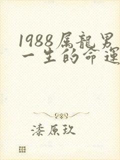 1988属龙男一生的命运封面