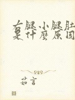 右腿小腿肚子疼是什么原因引起的