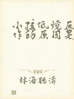 小孩低烧反复发作的原因是什么封面