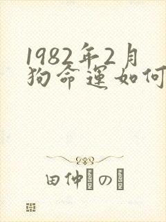 1982年2月狗命运如何