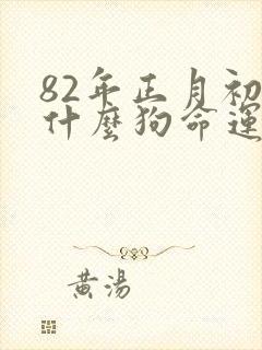 82年正月初六什么狗命运好