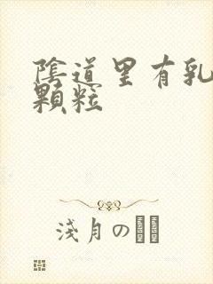 阴道里有乳头状颗粒