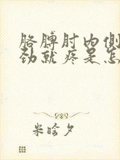 胳膊肘内侧一使劲就疼是怎么回事封面