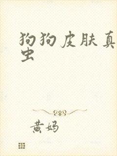 狗狗皮肤真菌螨虫