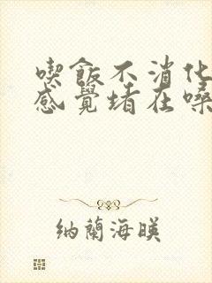 吃饭不消化,总感觉堵在嗓子眼