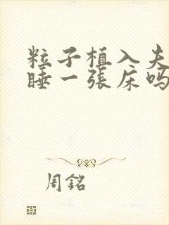 粒子植入夫妻能睡一张床吗封面