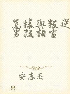 怎样与叛逆期的男孩相处封面