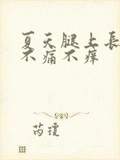 夏天腿上长红点不痛不痒封面