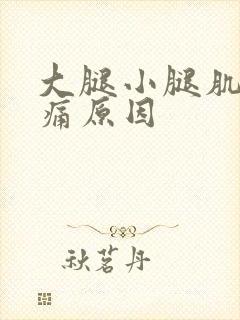 大腿小腿肌肉酸痛原因