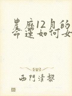 农历12月的牛命运如何女生