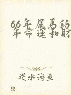 66年属马的今年命运和财运