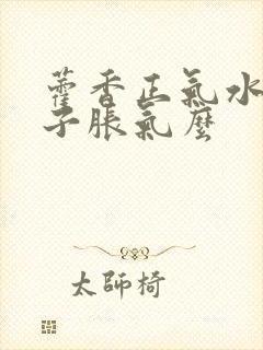 藿香正气水治肚子胀气么封面