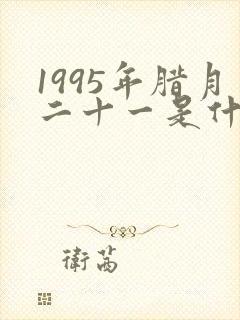 1995年腊月二十一是什么命