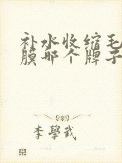 补水收缩毛孔面膜哪个牌子好用