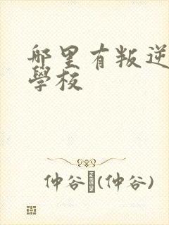 哪里有叛逆封闭学校