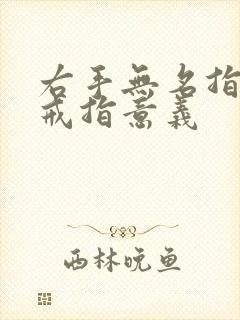 右手无名指指戴戒指意义封面