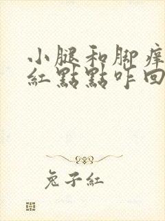 小腿和脚痒还有红点点咋回事