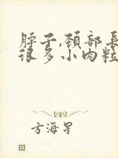 脖子,颈部长了很多小肉粒